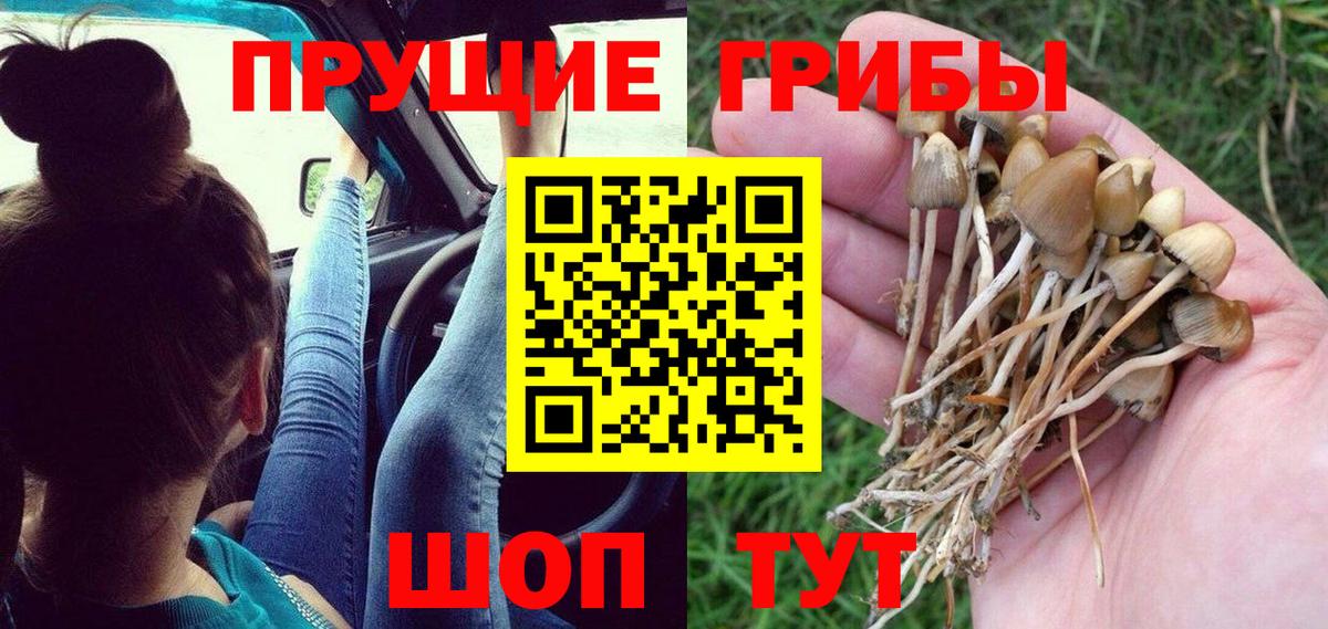 Галлюциногенные грибы Magic Shrooms  Вход с VPN  Рубцовск 